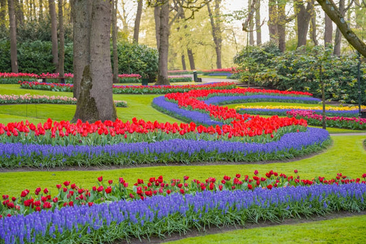 EUROPE CULTURE WATCH SPRING 2025
